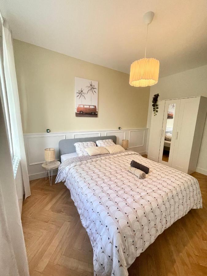 Apartment Jungleclassic En Plein Coeur De Mulhouse